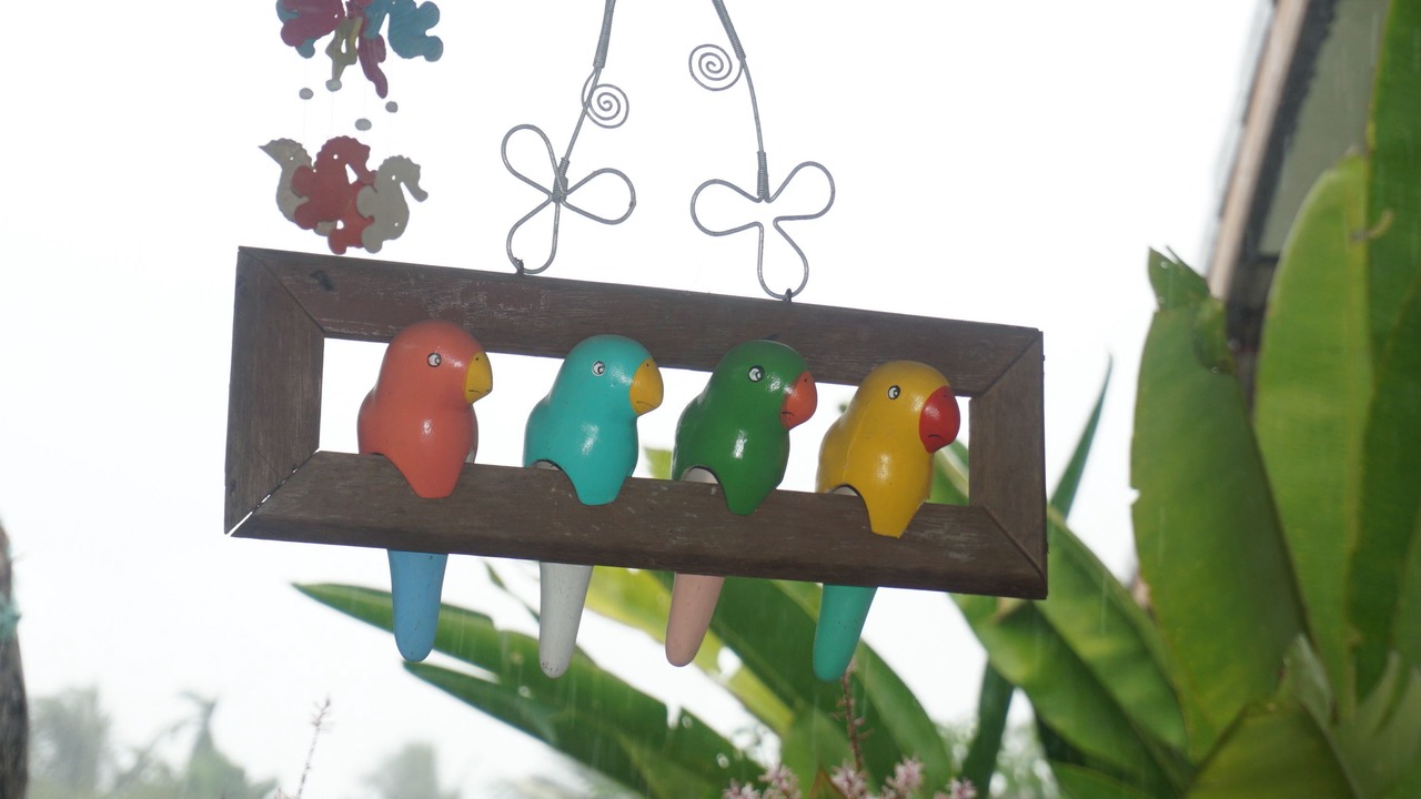 Photo of Others in Satun