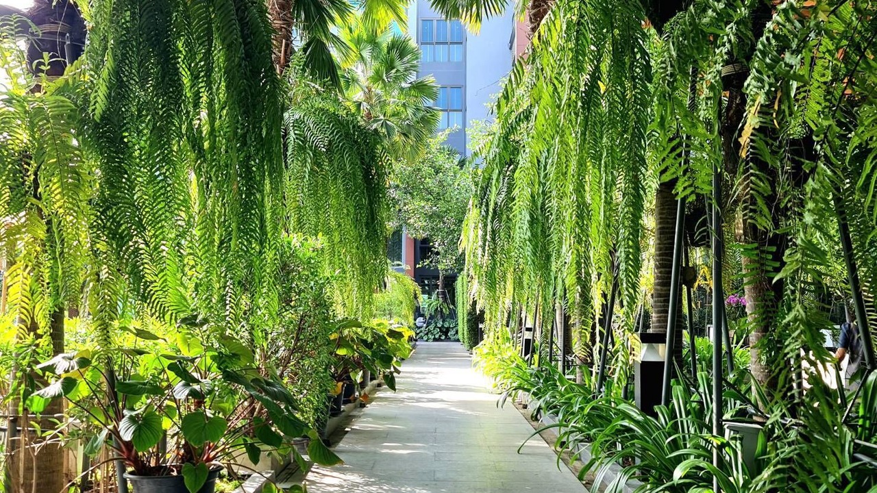 Photo of Outdoor in Nai Mueang