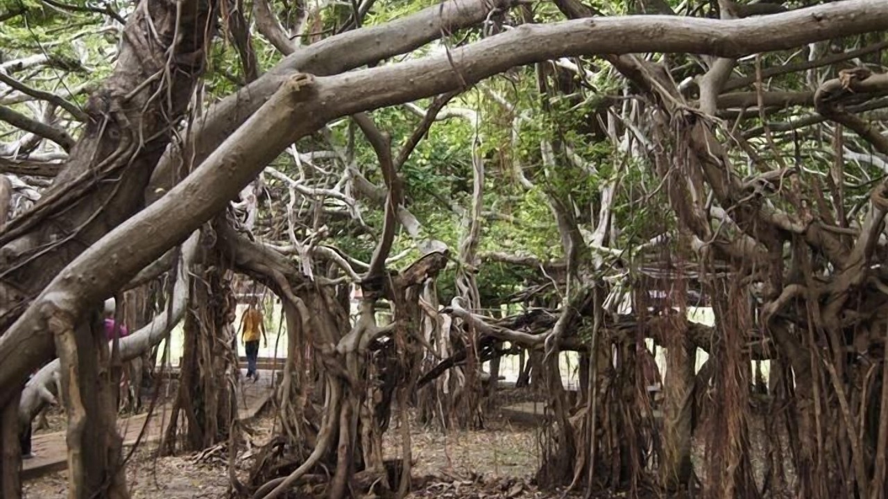 Photo of Others in Phimai