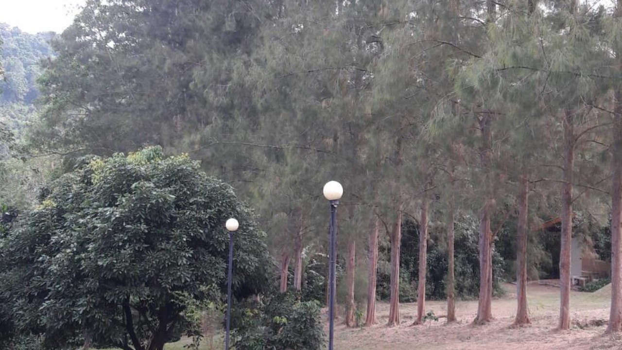Photo of Outdoor in Suan Phueng