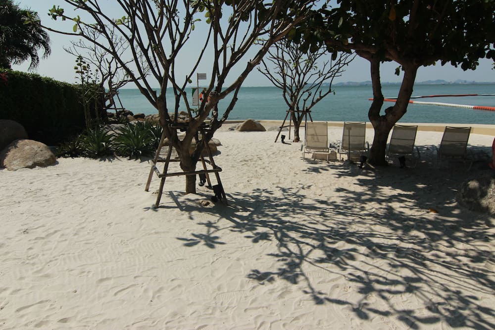 Photo of Others in North Pattaya