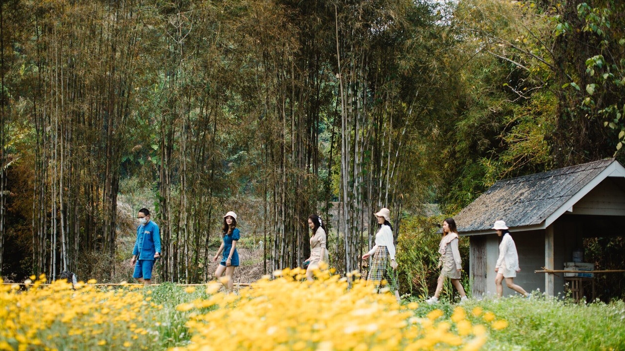Photo of Outdoor in Fang