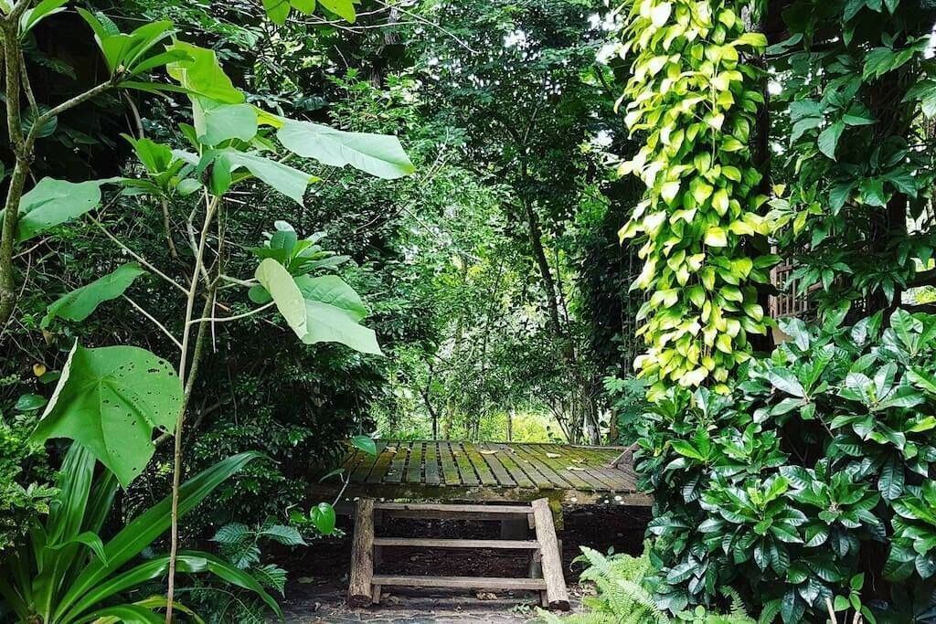 Photo of Outdoor in Fang