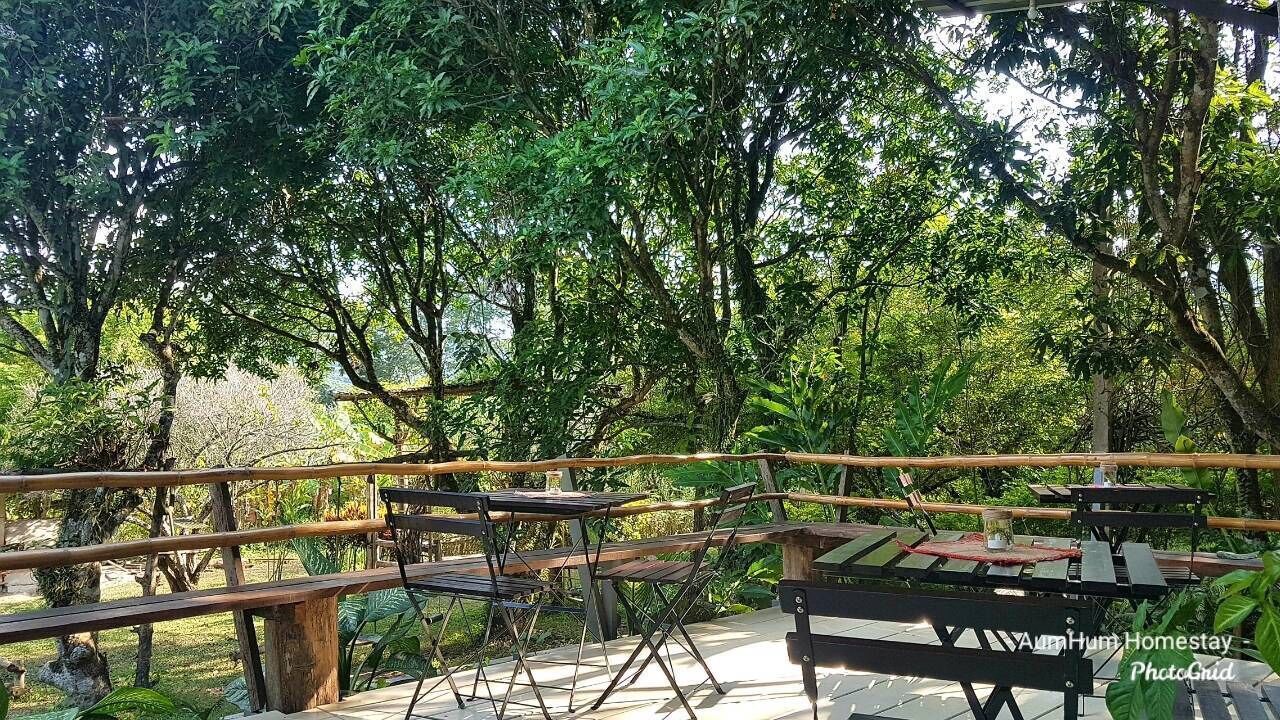 Photo of Outdoor in Fang