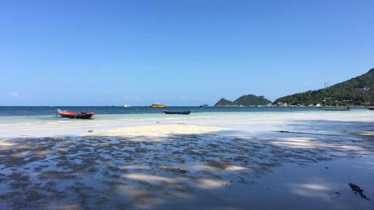 Photo of Others in Koh Tao