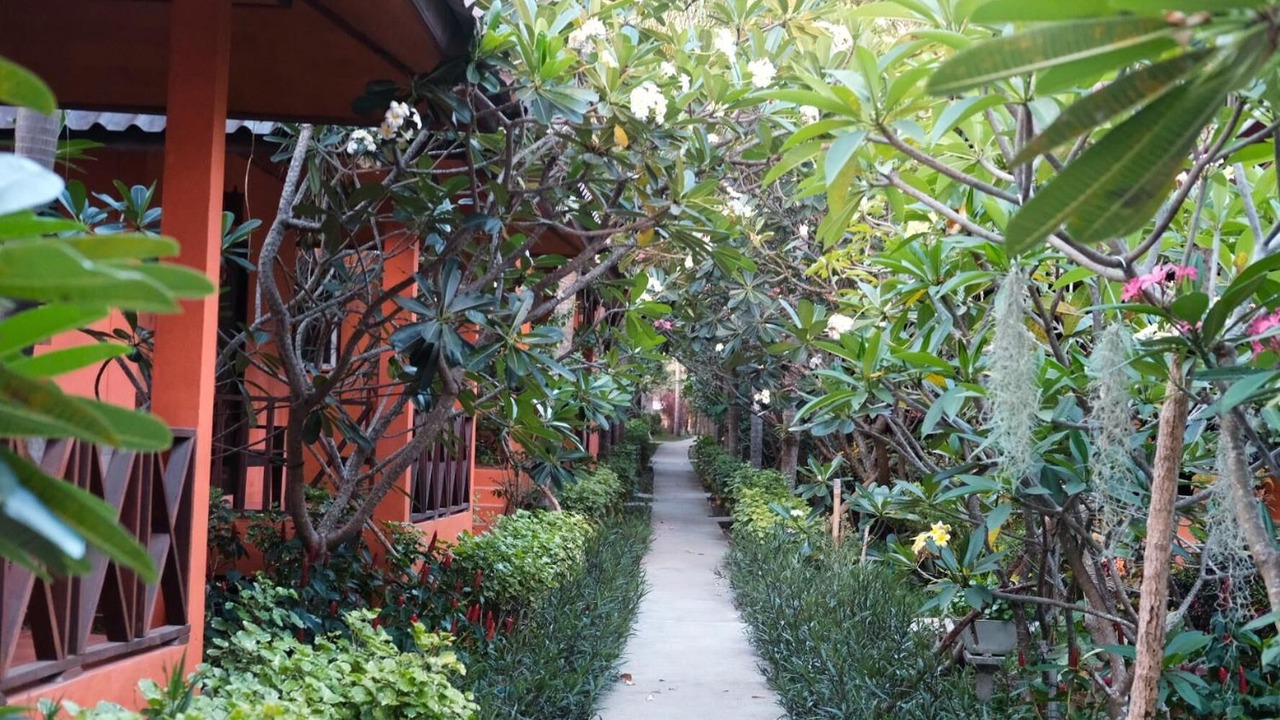 Photo of Outdoor in Koh Tao