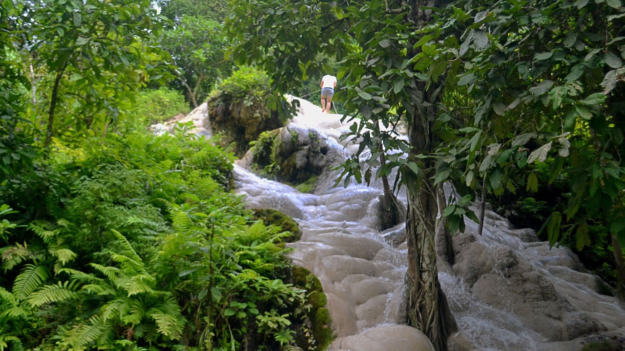 Photo of Others in Cho Lae