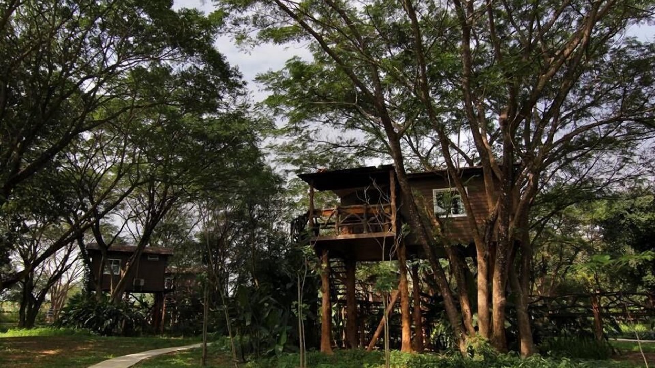 Photo of Outdoor in Kaeng Krachan