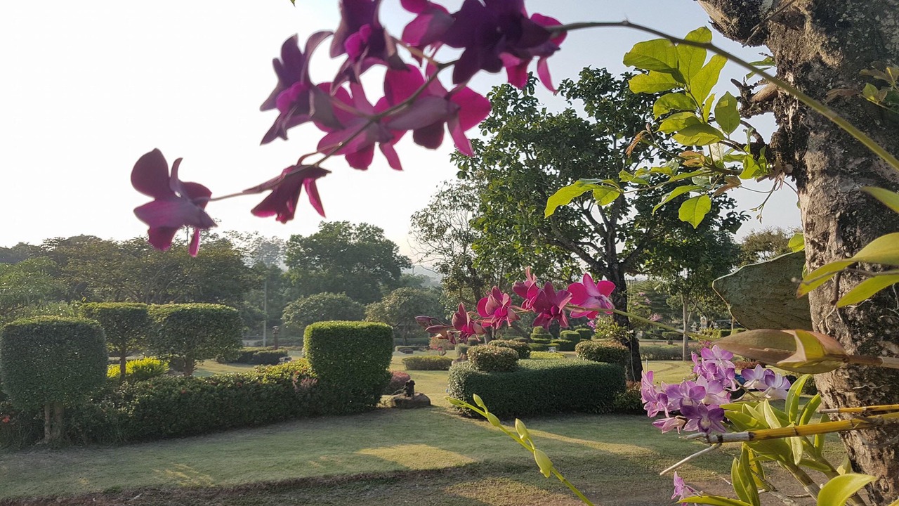 Photo of Outdoor in Nakhon Ratchasima
