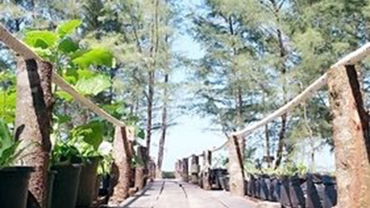 Photo of Outdoor in Khura Buri