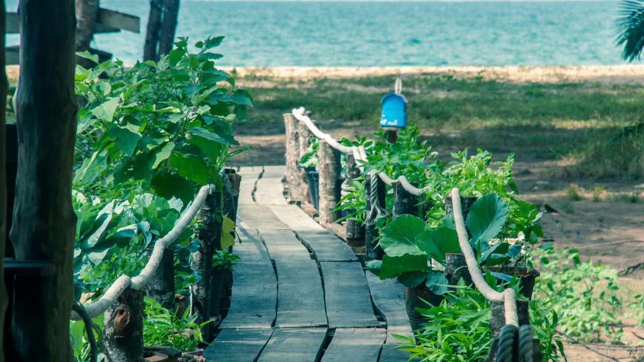 Photo of Others in Khura Buri