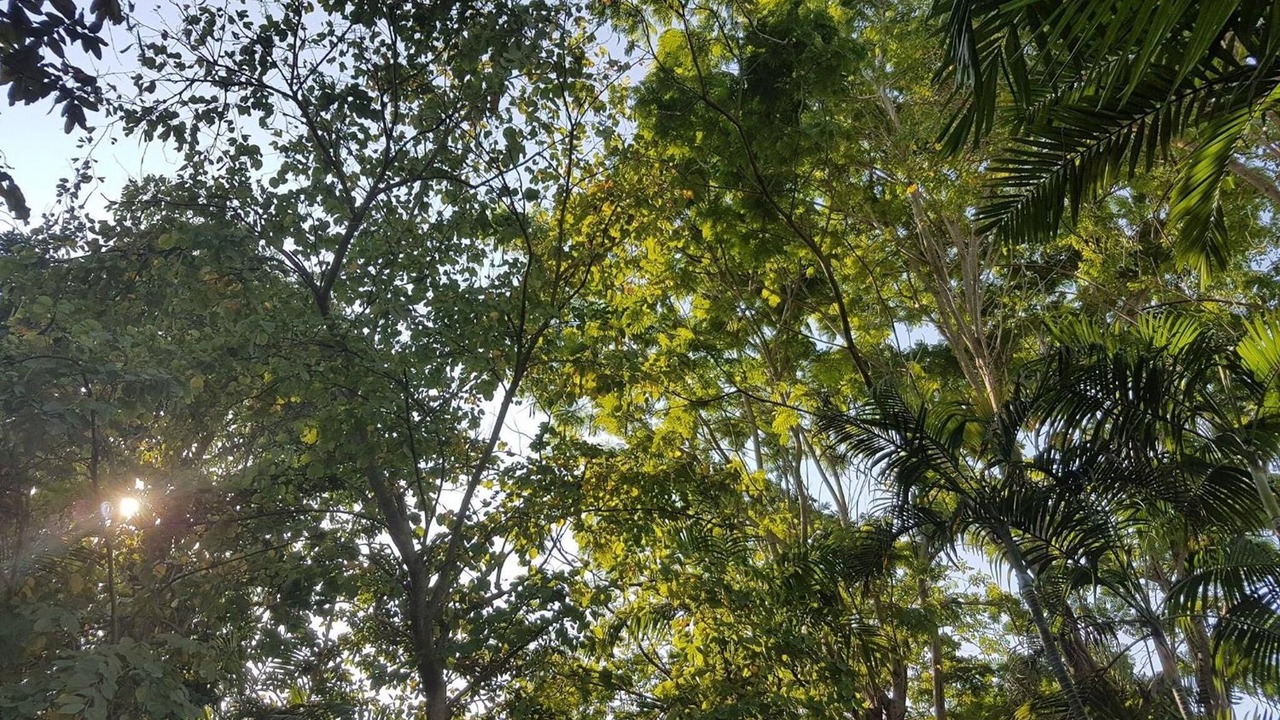 Photo of Outdoor in Ratchaburi