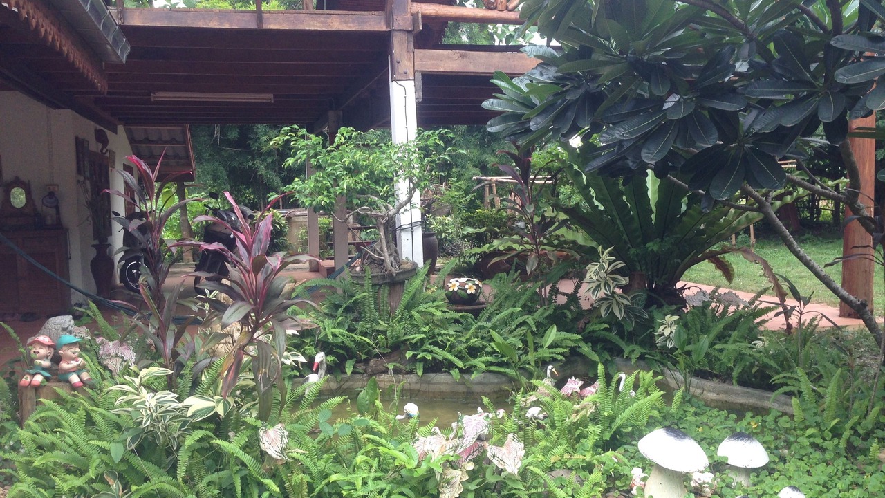 Photo of Outdoor in Loei Province