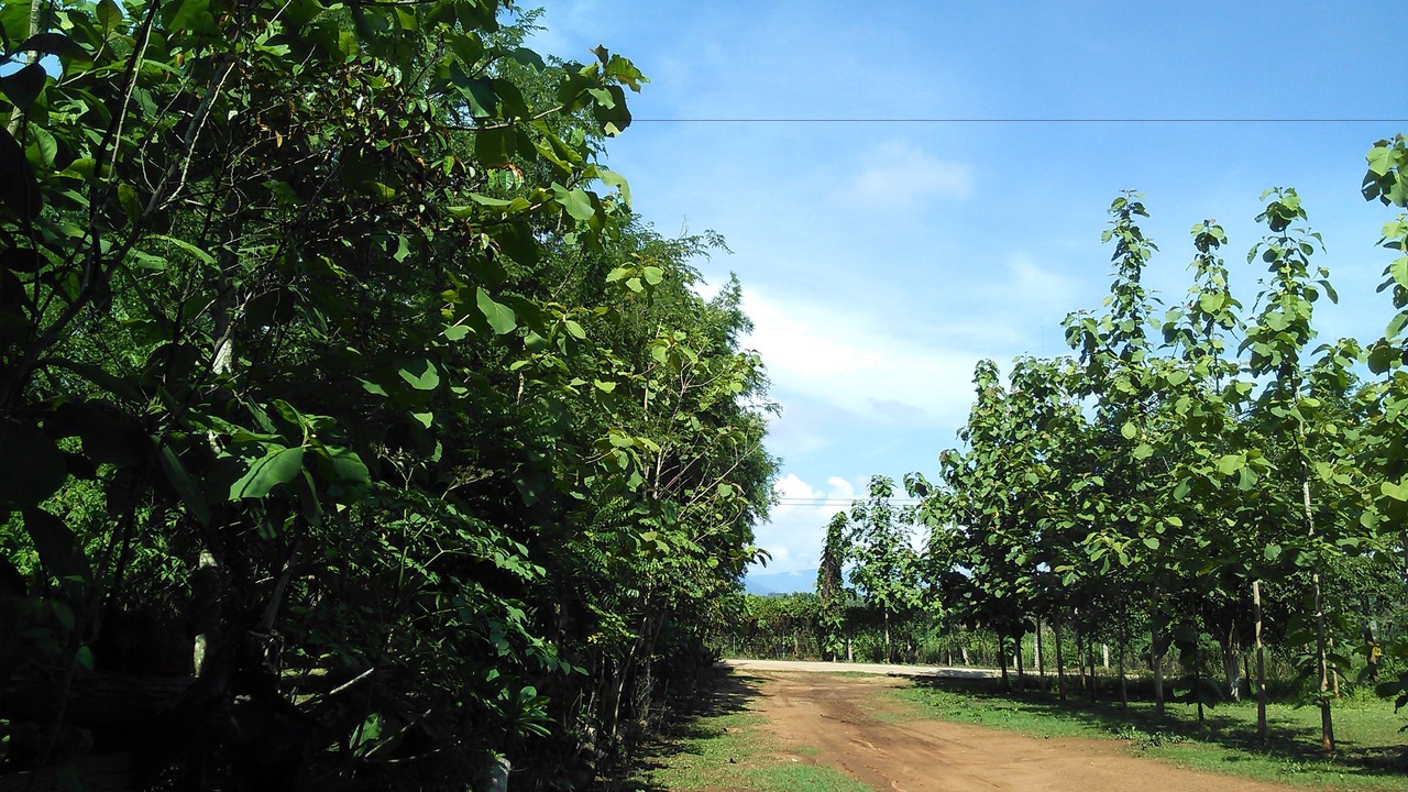 Photo of Outdoor in Loei Province