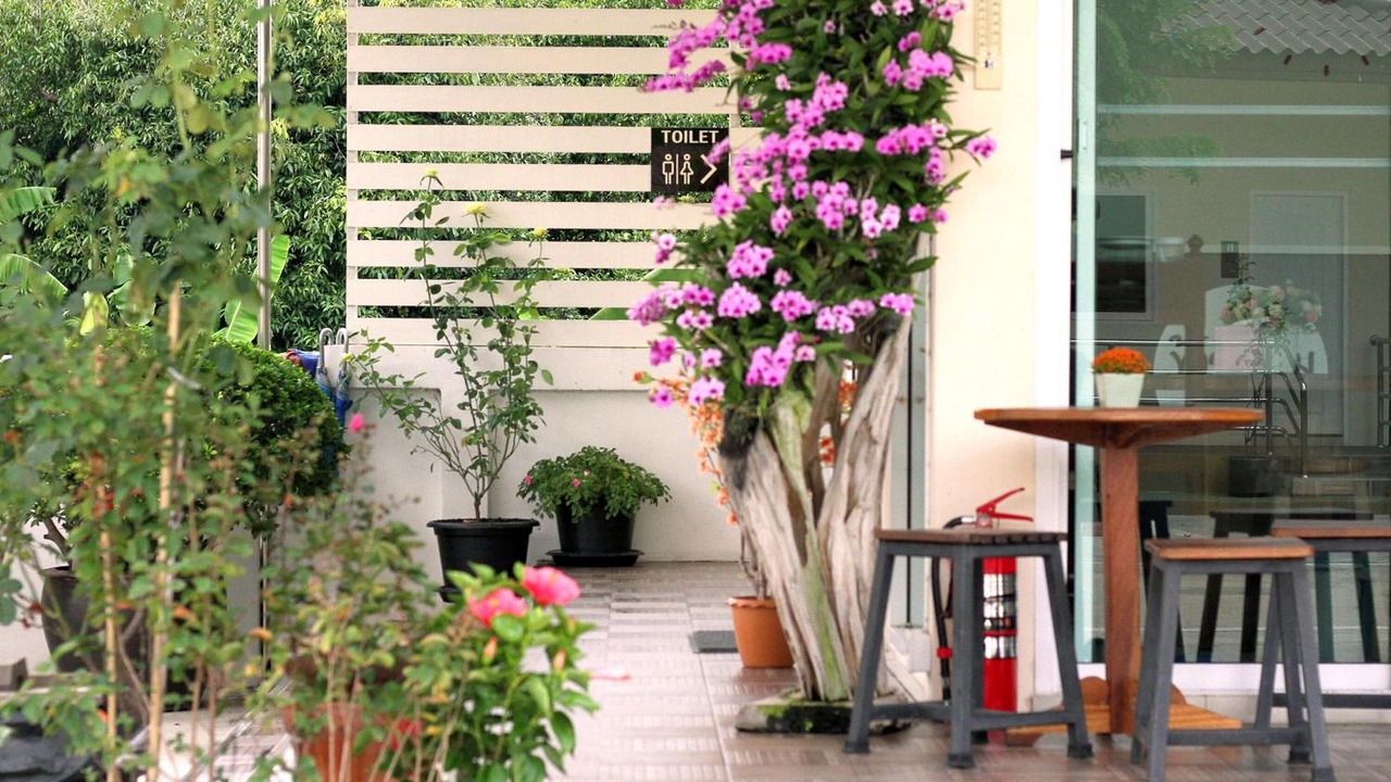 Photo of Outdoor in Pak Phli