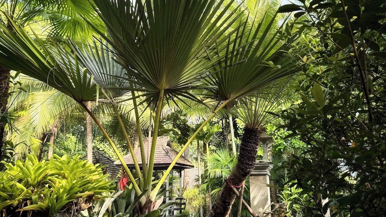 Photo of Outdoor in Mae Rim