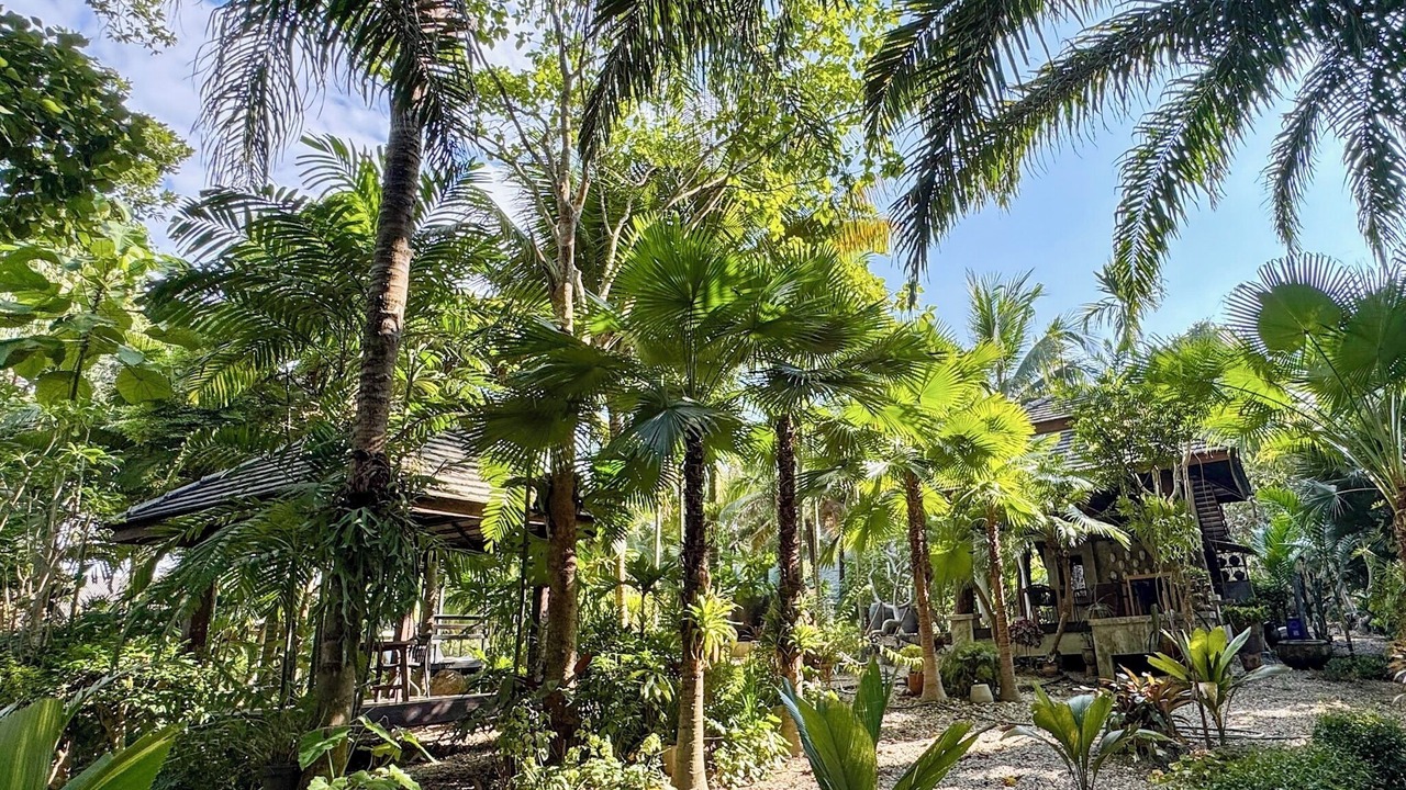 Photo of Outdoor in Mae Rim