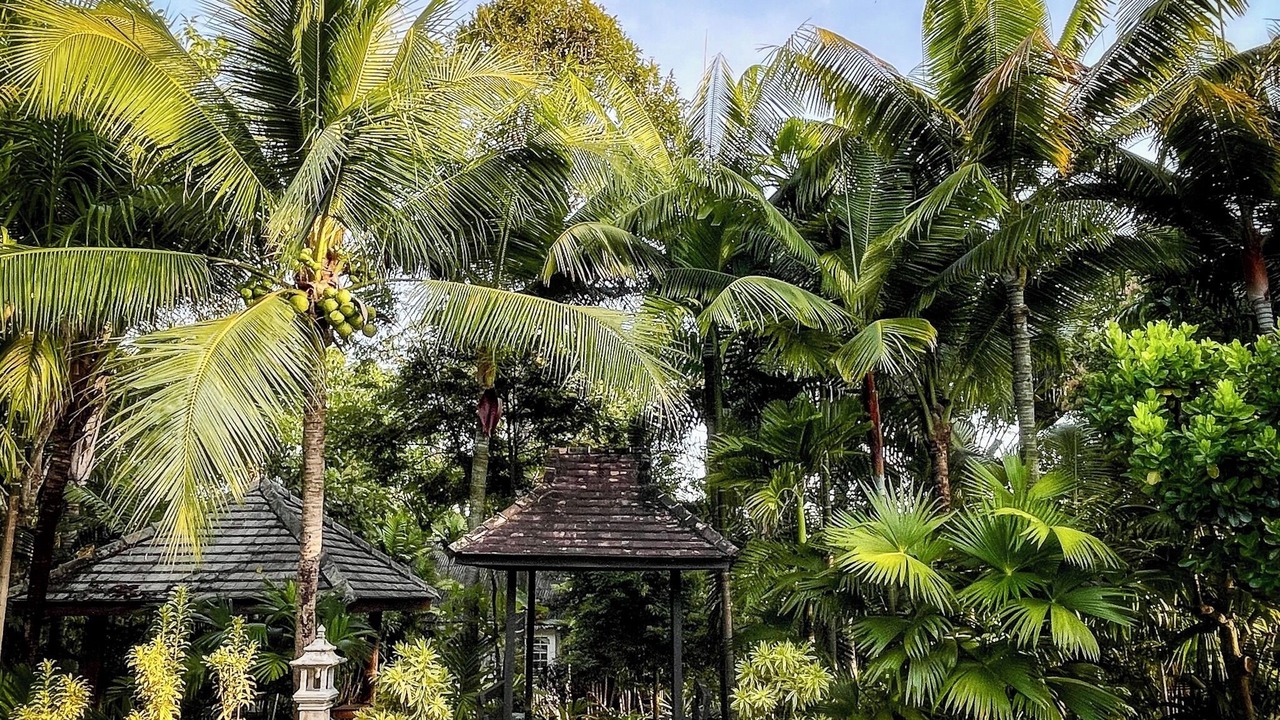 Photo of Outdoor in Mae Rim