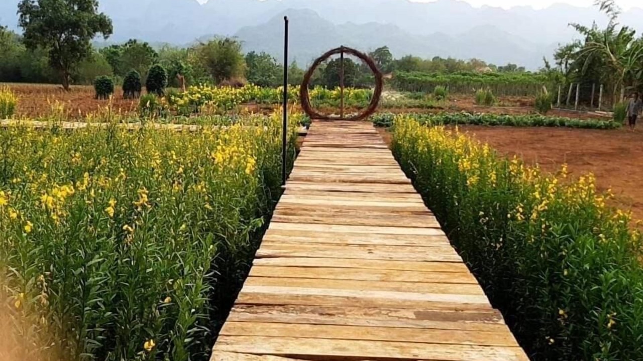 Photo of Outdoor in Tha Sao