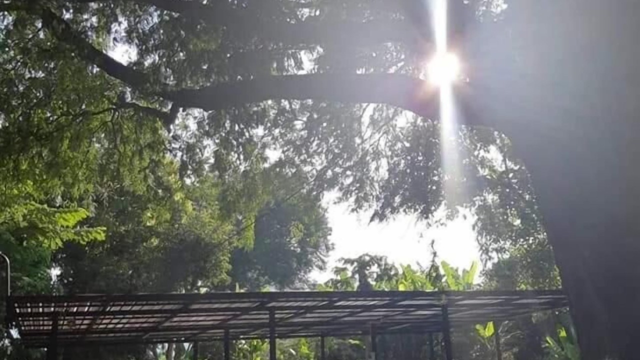 Photo of Patio Balcony in Tha Sao