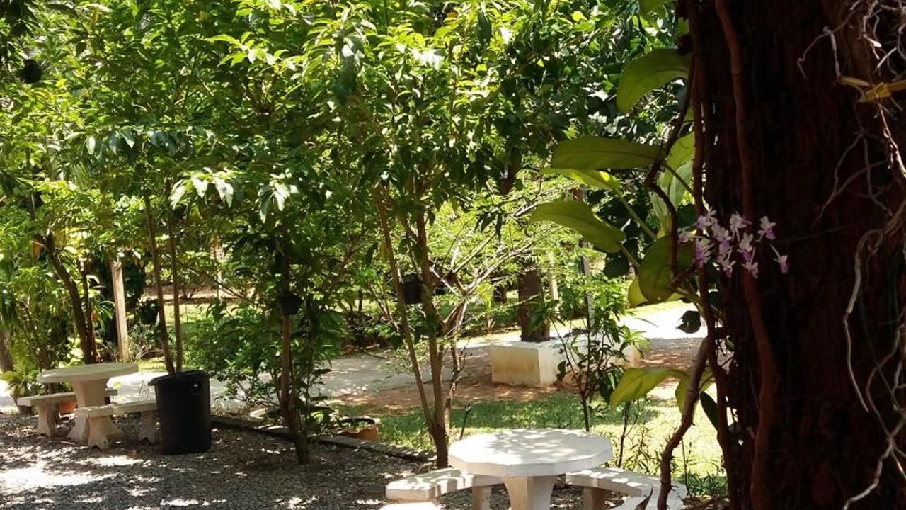 Photo of Outdoor in Tha Sao