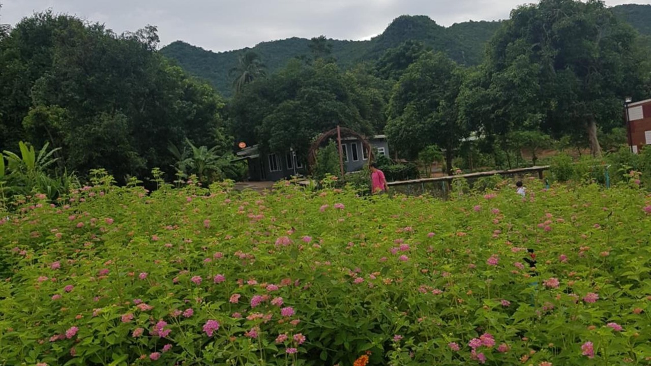 Photo of Outdoor in Tha Sao