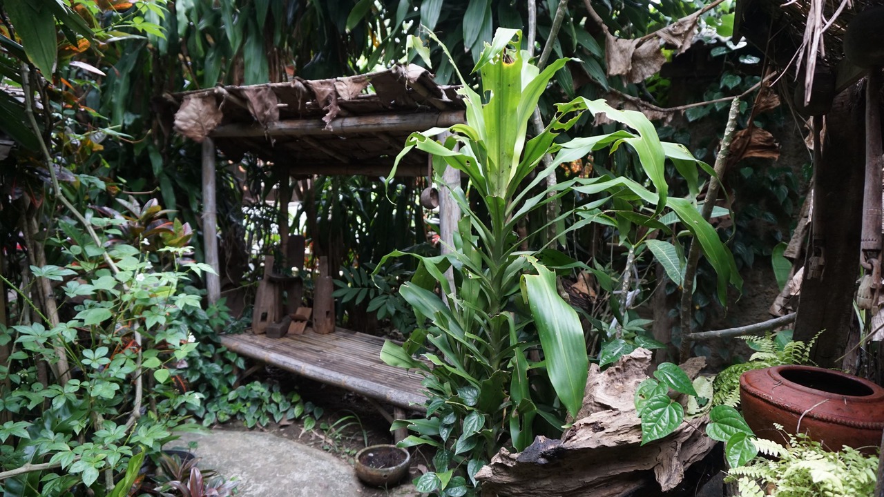 Photo of Patio Balcony in Phrao