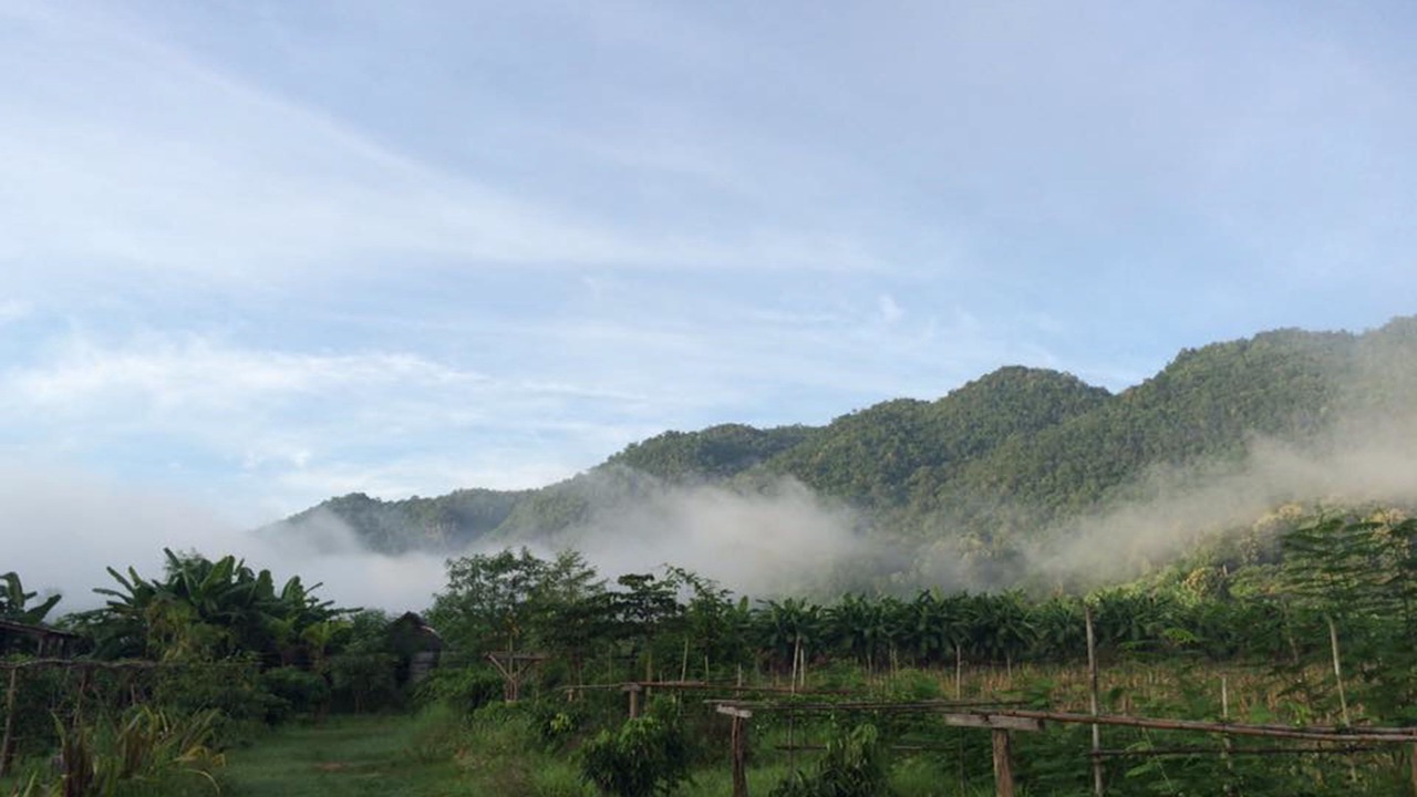 Photo of Others in Phrao