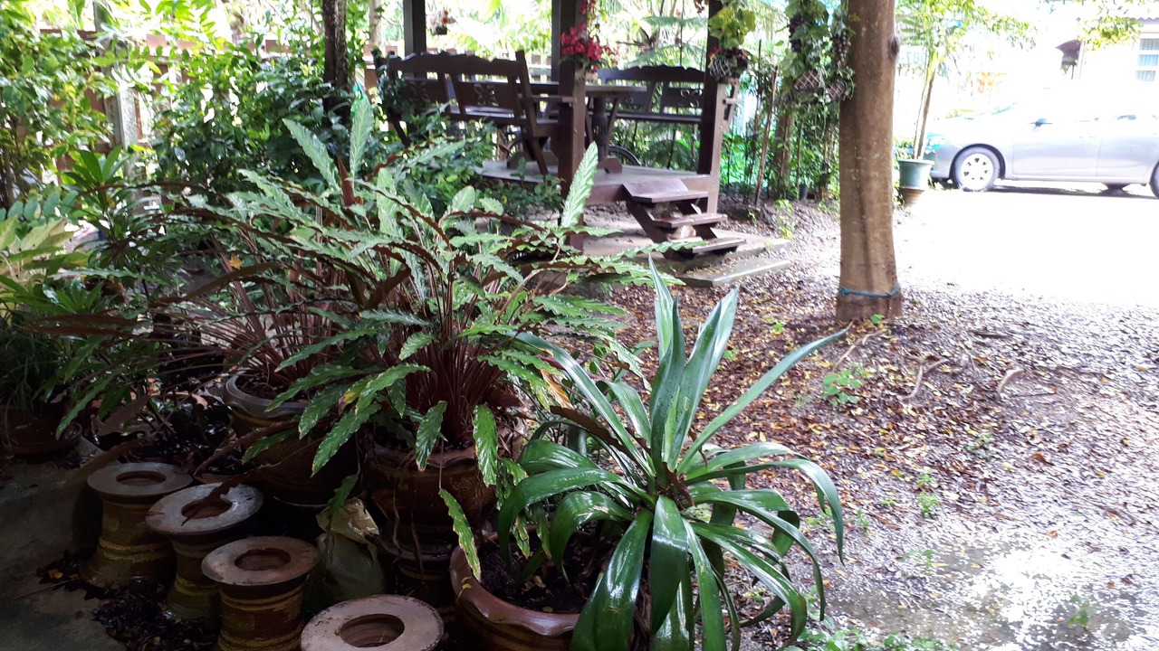 Photo of Outdoor in Samut Songkhram