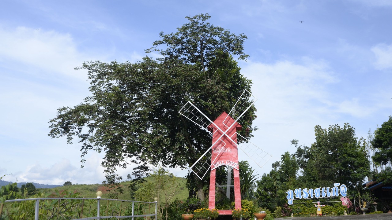 Photo of Others in Wang Nam Khiao