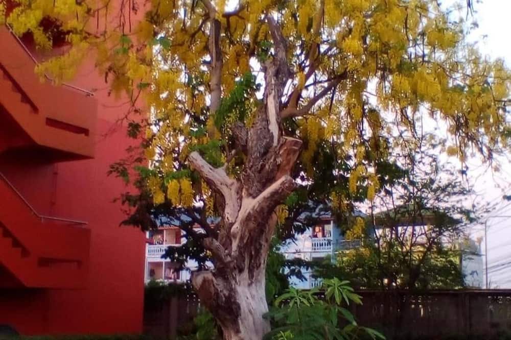 Photo of Outdoor in Khan Ham