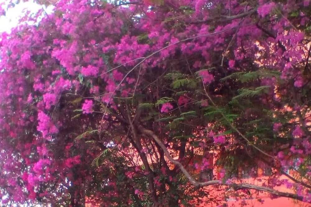 Photo of Outdoor in Khan Ham