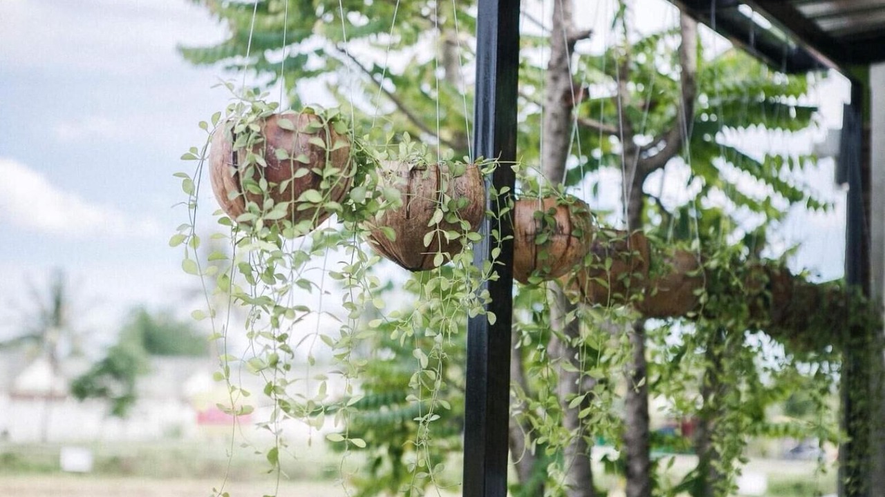 Photo of Outdoor in Phetchaburi