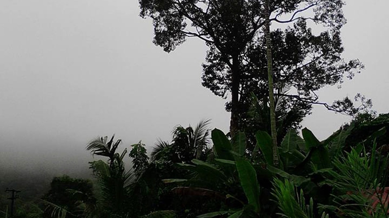 Photo of Outdoor in Nakhon Nayok