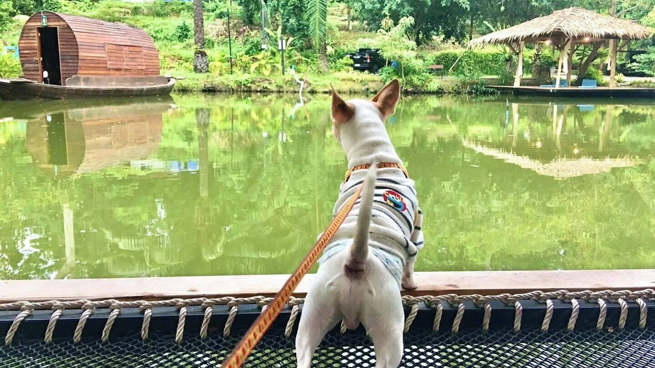 Photo of Outdoor in Nakhon Nayok