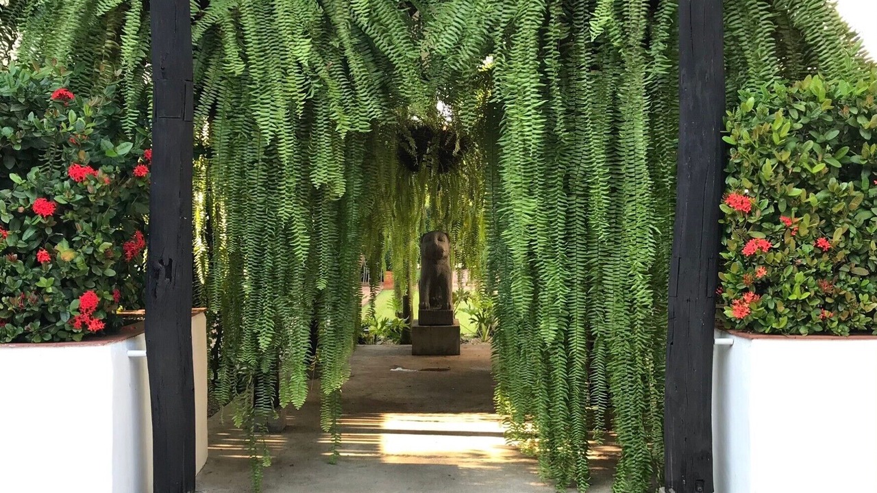 Photo of Outdoor in Old City