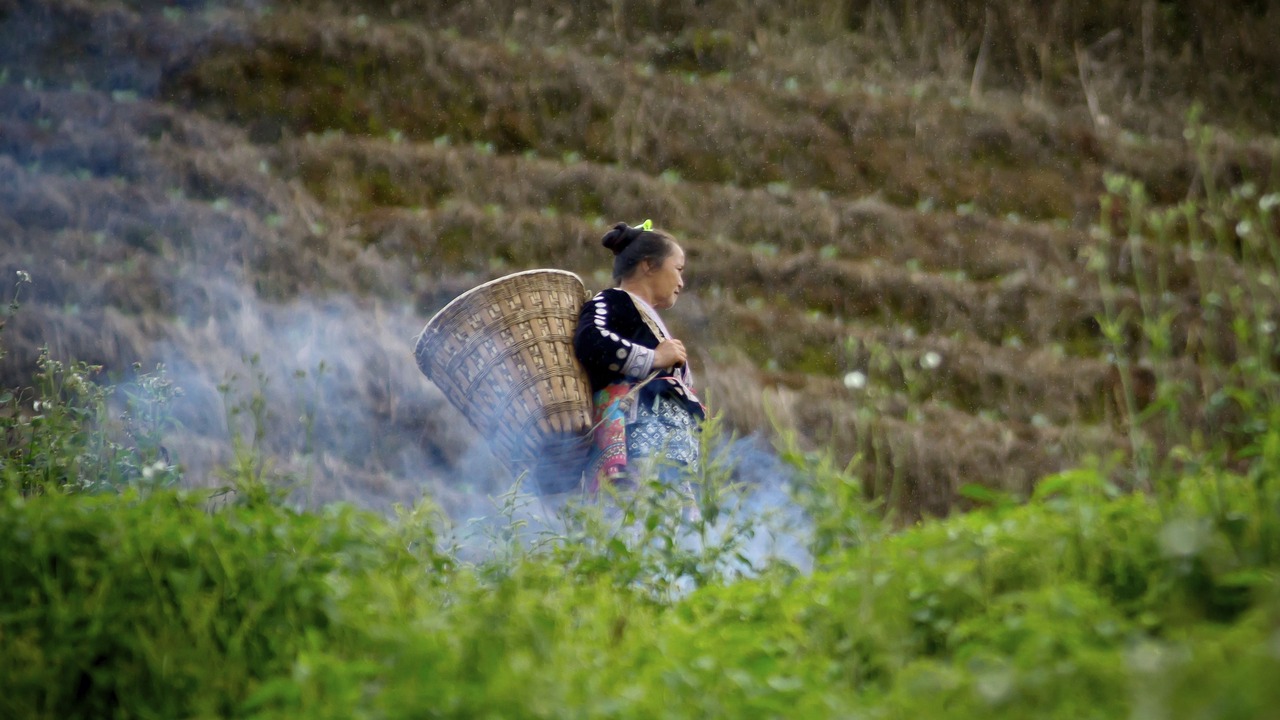 Photo of Outdoor in Mae Rim