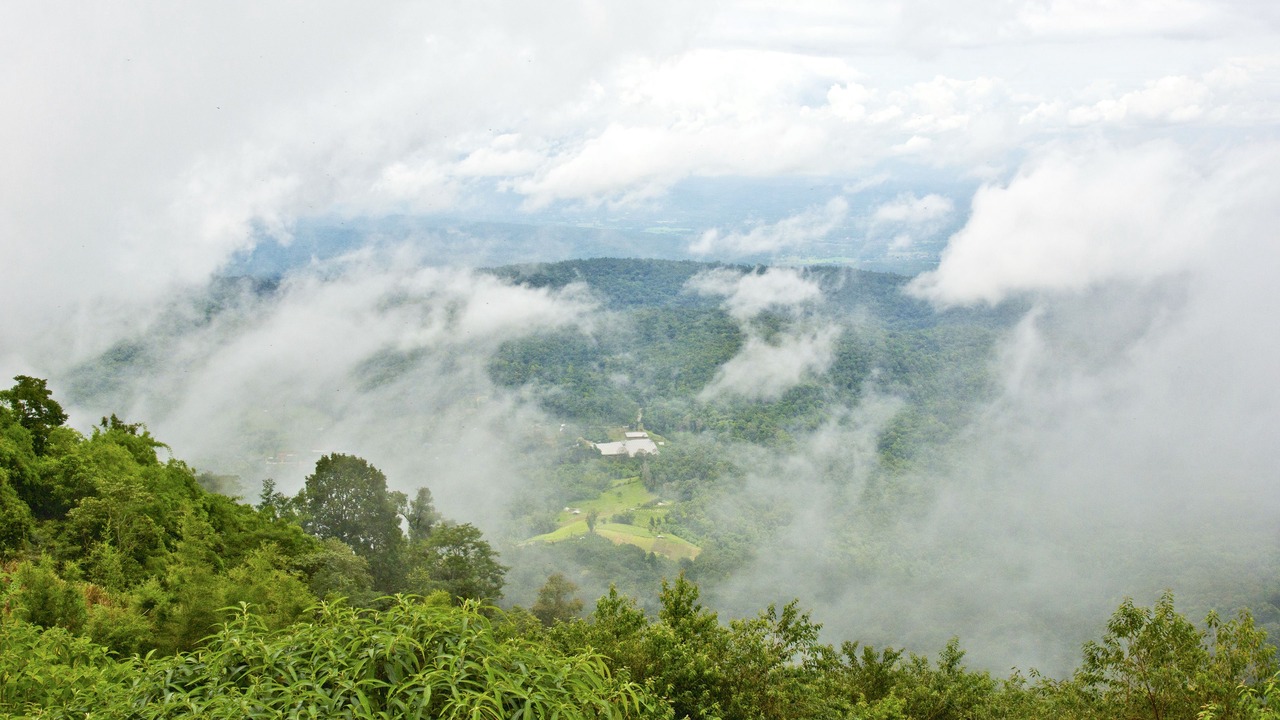 Photo of Others in Mae Rim