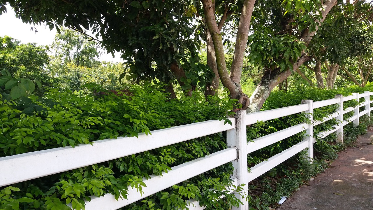 Photo of Patio Balcony in Sung Noen