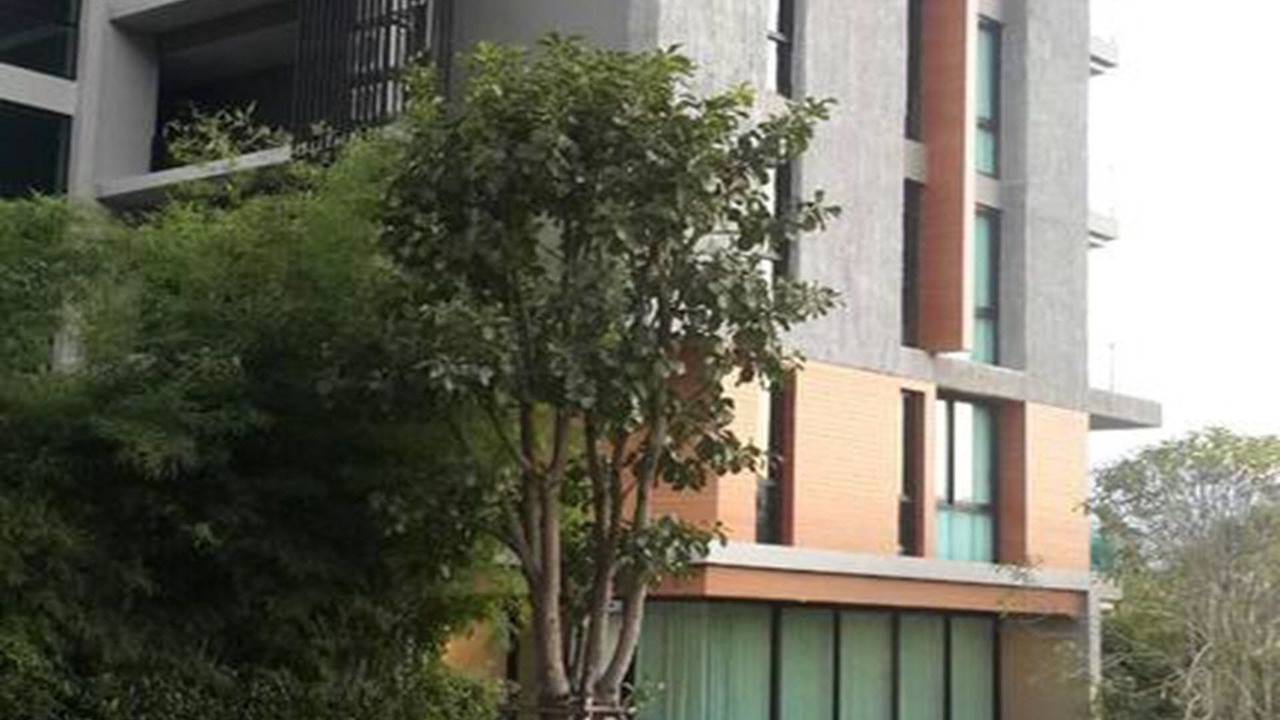 Photo of Outdoor in Phaya Yen