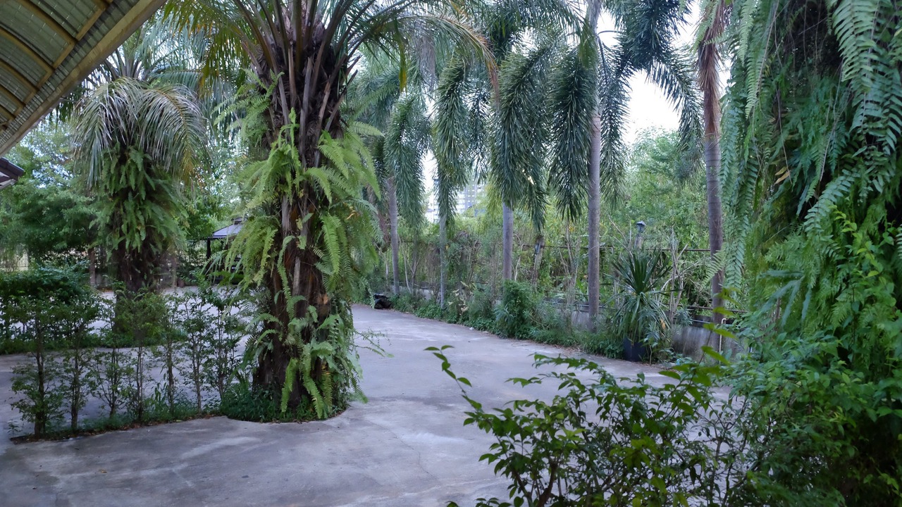 Photo of Others in Chakphong