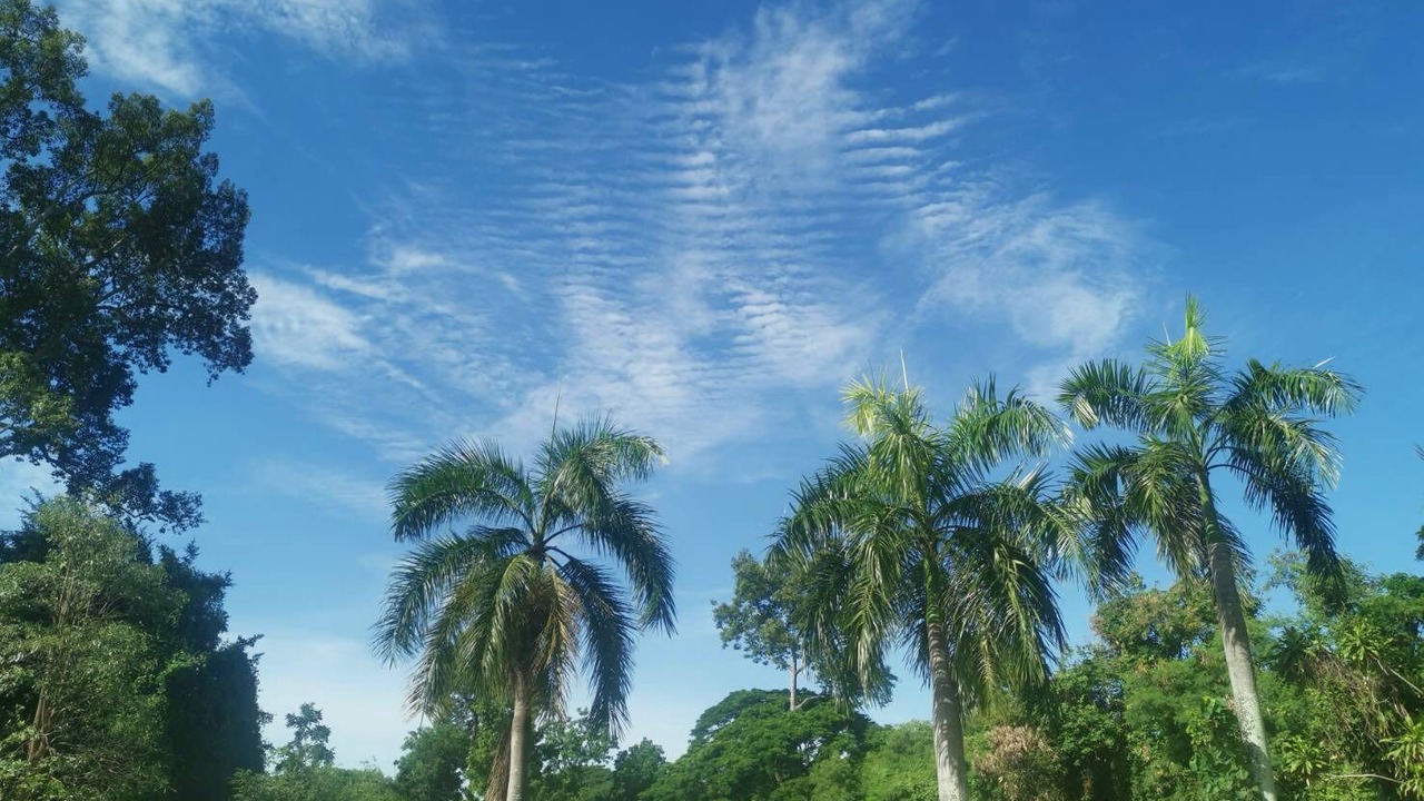 Photo of Outdoor in Mak Khaeng
