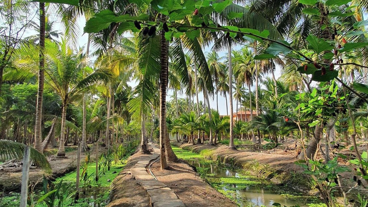 Photo of Outdoor in Amphawa