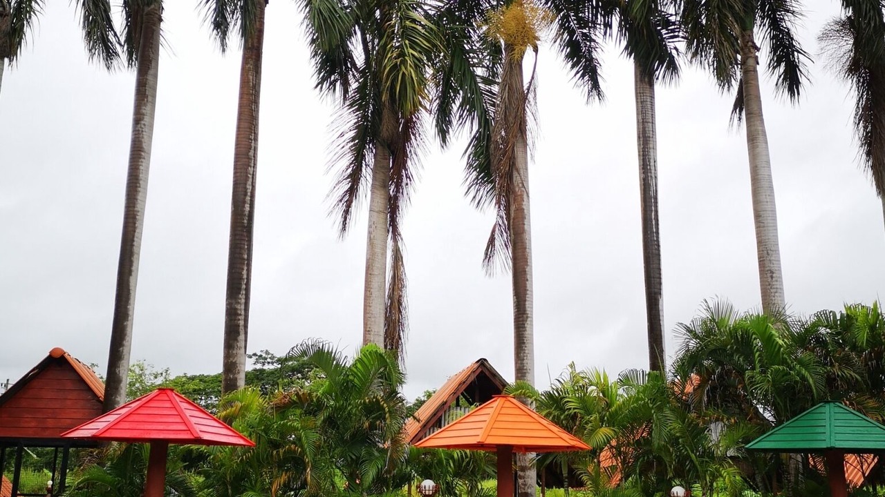 Photo of Outdoor in Sila