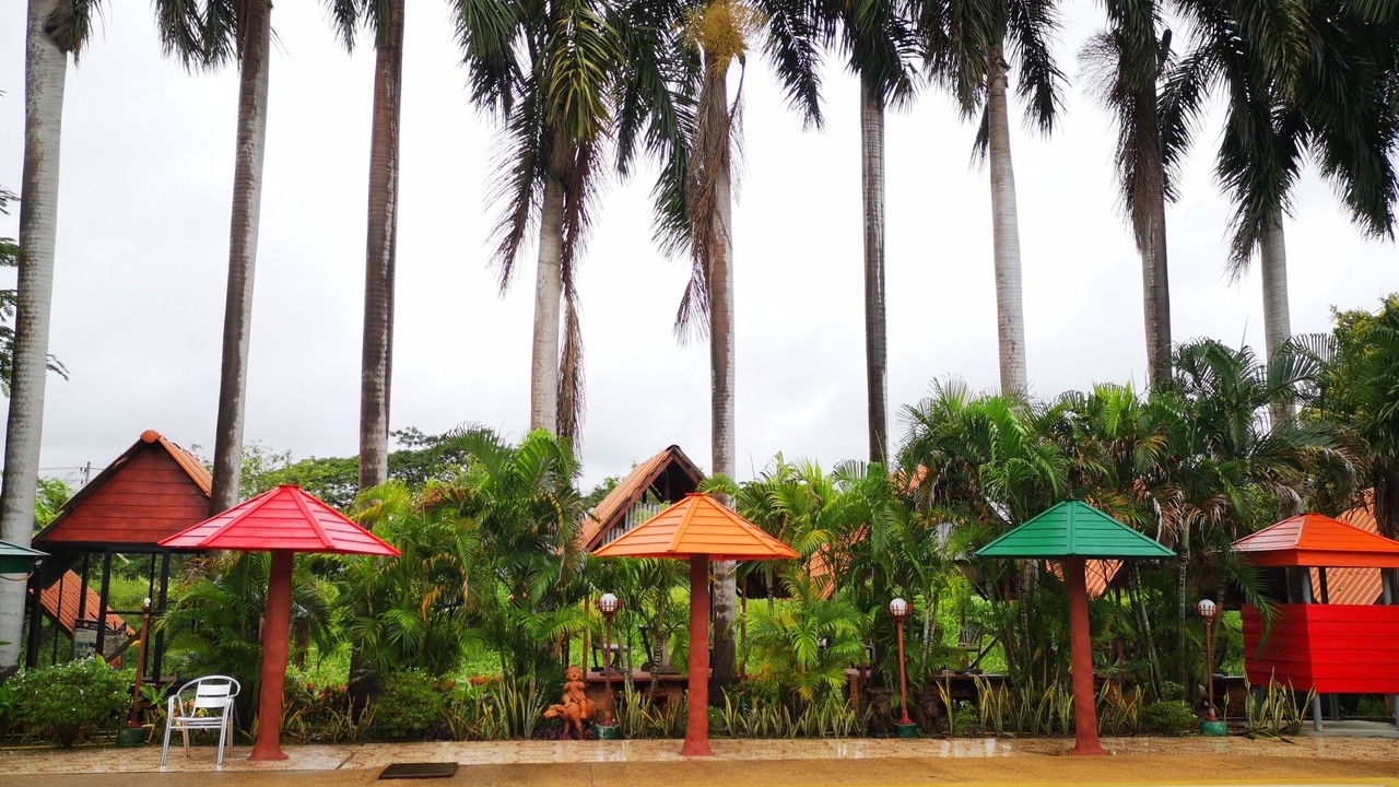 Photo of Outdoor in Sila