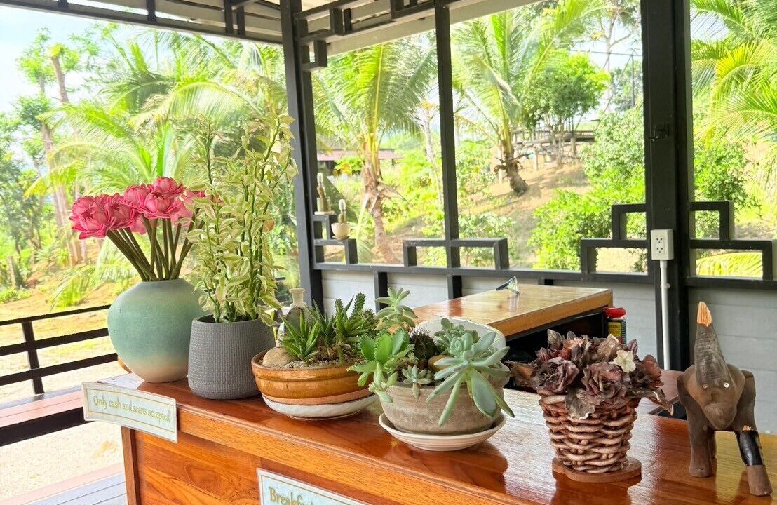 Photo of Others in Ban Ta Khun