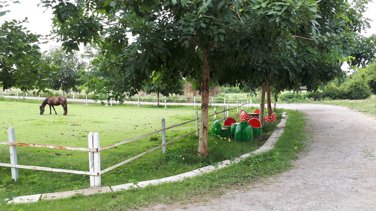 Photo of Outdoor in Suan Phueng