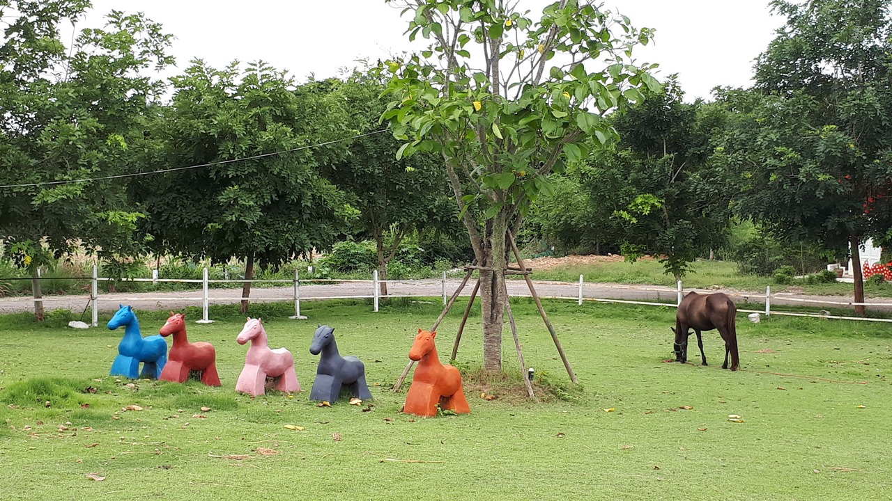 Photo of Others in Suan Phueng