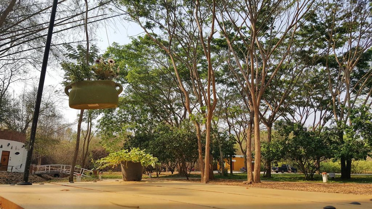 Photo of Outdoor in Suan Phueng