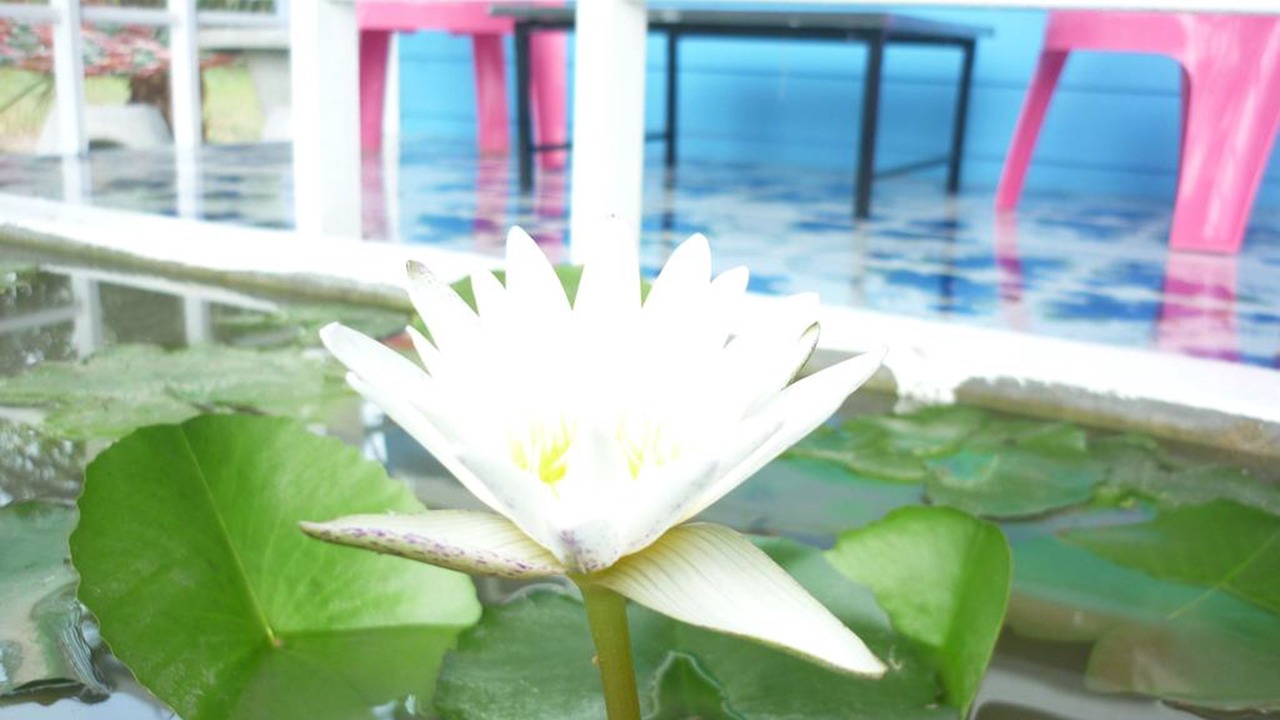 Photo of Outdoor in Sam Roi Yot